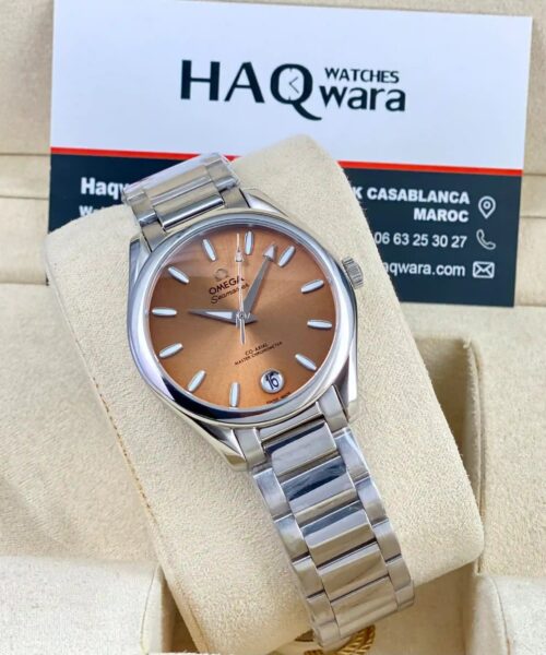 Omega Seamaster Aqua Terra Argenté Marron Femmes