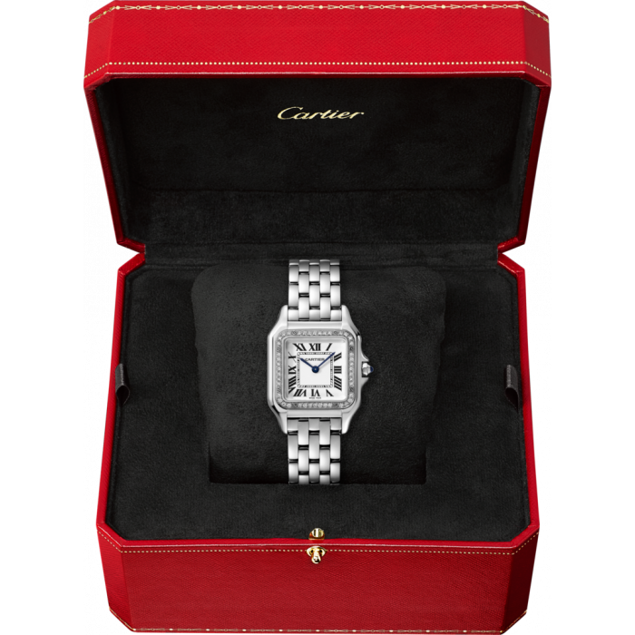 Cartier Panthère Argenté Pierres